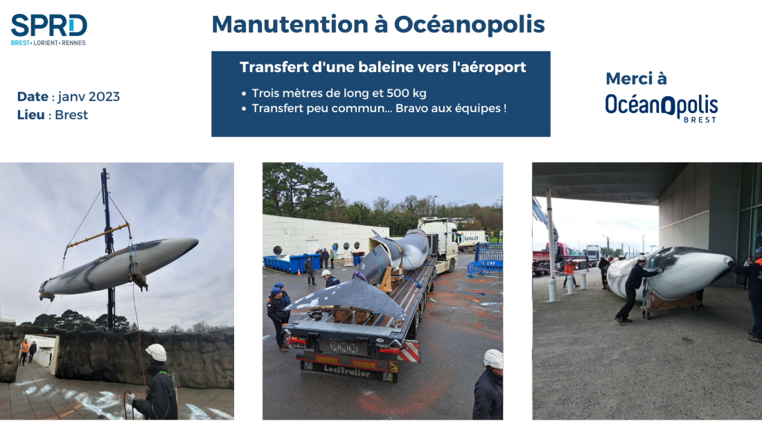 Océanopolis - Manutention Baleine